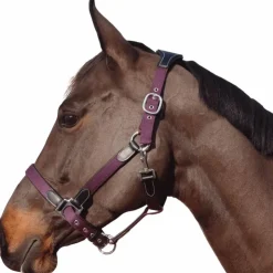 Outlet Flags & Cup - Licol nylon et cuir / prune Noir