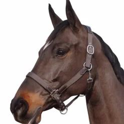 Sale Flags & Cup - Licol nylon et cuir Marron