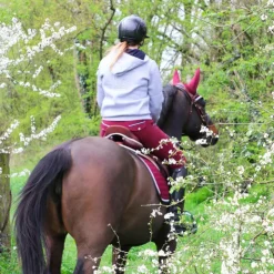 Flags & Cup - Pantalon d'équitation femme Cayenne Bordeaux Clearance