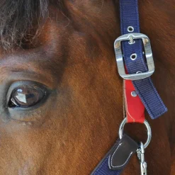 Flags & Cup Flags&Cup - Licol de sécurité Discount