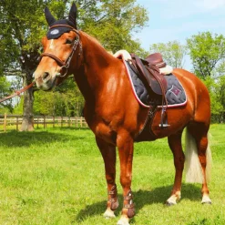 Flex On - Stickers Pays France Online