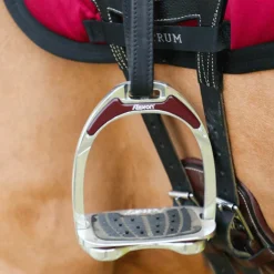 Clearance Flex On - Stickers Uni Bordeaux