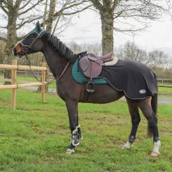 Outlet Flex On - Stickers Silver vert anglais