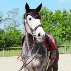 Freejump - Étriers Soft'Up Lite Noir / Rouge Best