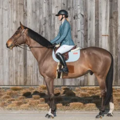 Discount GEM - Veste de concours femme Mesh orage Bleu