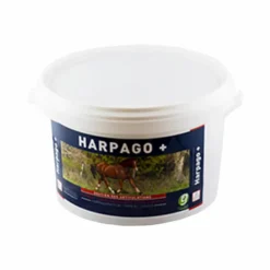 Clearance Greenpex - Complément alimentaire soutien articulaire Harpago +