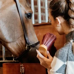 Sale Grooming Deluxe - Bouchon poils longs medium Bordeaux