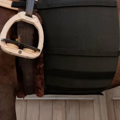 Discount Grooming Deluxe - Ceinture ventrale pour cheval Noir