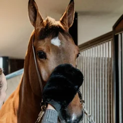 Grooming Deluxe - Gant de pansage mouton noir Discount