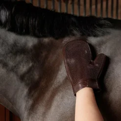 Hot Grooming Deluxe - Gant de Grooming en caoutchouc brun Marron