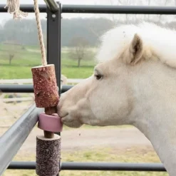 Clearance Grooming Deluxe - Jouet en bois relaxant pour cheval avec pierre à sel Sammy