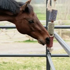 Grooming Deluxe - Jouet en bois relaxant pour cheval Freedom Discount