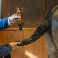 Grooming Deluxe - Shampoing Gloss bubble gum Sale