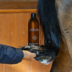 Grooming Deluxe - Shampoing Gloss bubble gum Sale