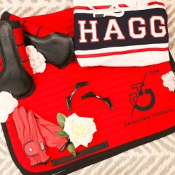 Hagg - Sweat hoodie à capuche gris