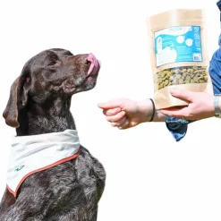 Happy Scoop - Complément alimentaire croquettes confort locomoteur Moov pour chiens Online