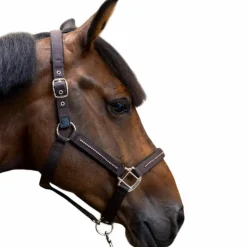 Harcour - Ensemble licol et longe Amour cacao Marron New