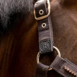 Harcour - Ensemble licol et longe Amour cacao Marron New