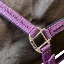 Hot Harcour - Ensemble licol et longe Amour figue Violet