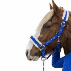 Harcour - Licol et longe Teschic électrique Bleu Online