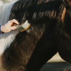 Hippotonic - Etrille à vapeur avec manche taupe Marron Hot