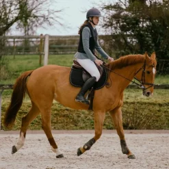 Hit Air - Gilet airbag Airflex Noir