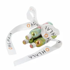 Hit Air - Lot de 3 Cartouches 48 cc/ 50 cc/ 60 cc Argent Sale