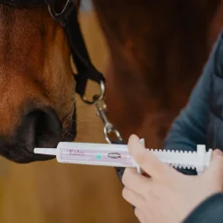 Horse Master - Complément alimentaire seringue concentré de L-Trytophane B-Kalm Online