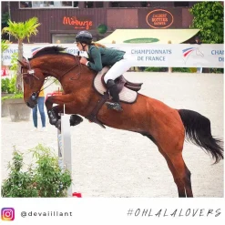 Discount Horse Pilot - Bottes d'équitation femme Teknit Boot Noir