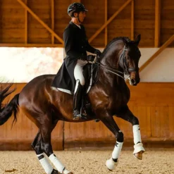 Horse Pilot - Veste de concours de dressage homme Long frac Noir
