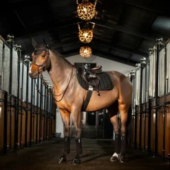 Horseware - Bonnet pour chevaux Amigo Noir Hot