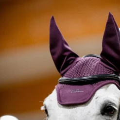 Horseware - Bonnet pour chevaux Alessandro Albanese primatova Violet New