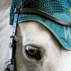 Horseware - Bonnet pour chevaux Ear Net dynasty green Vert Online