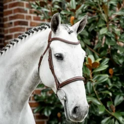 Hot Horseware - Bridon Cavesson Marron