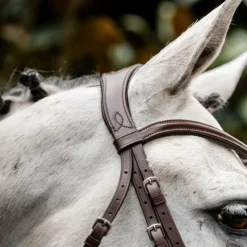 Hot Horseware - Bridon Cavesson Marron