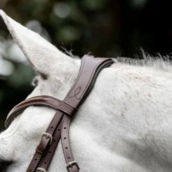 Hot Horseware - Bridon Cavesson Marron