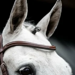 Hot Horseware - Bridon Cavesson Marron