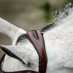 Hot Horseware - Bridon Cavesson Marron