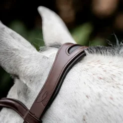 Hot Horseware - Bridon Cavesson Marron