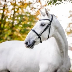 Horseware - Bridon Cavesson Noir