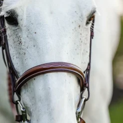 Horseware - Bridon Cavesson Hunter Pony avec rênes dark tan Marron Outlet