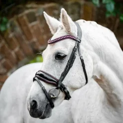 Sale Horseware - Bridon Diamante Pony Flash / rose Noir