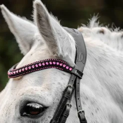 Sale Horseware - Bridon Diamante Pony Flash / rose Noir