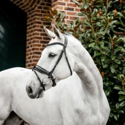 Discount Horseware - Bridon Diamante Flash / Noir