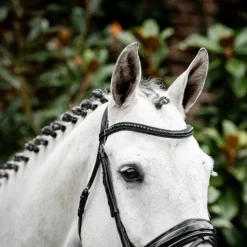 Discount Horseware - Bridon Diamante Flash / Noir