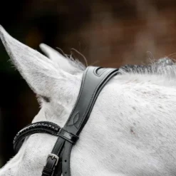 Discount Horseware - Bridon Diamante Flash / Noir