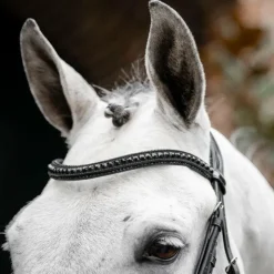 Discount Horseware - Bridon Diamante Flash / Noir