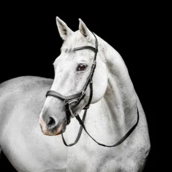 Horseware - Bridon Micklem Competiton Noir Online