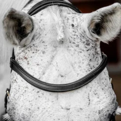 Horseware - Bridon Micklem Competiton Noir Online