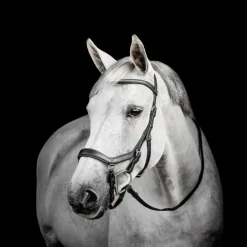 Horseware - Bridon Micklem Diamante Competition Noir Online